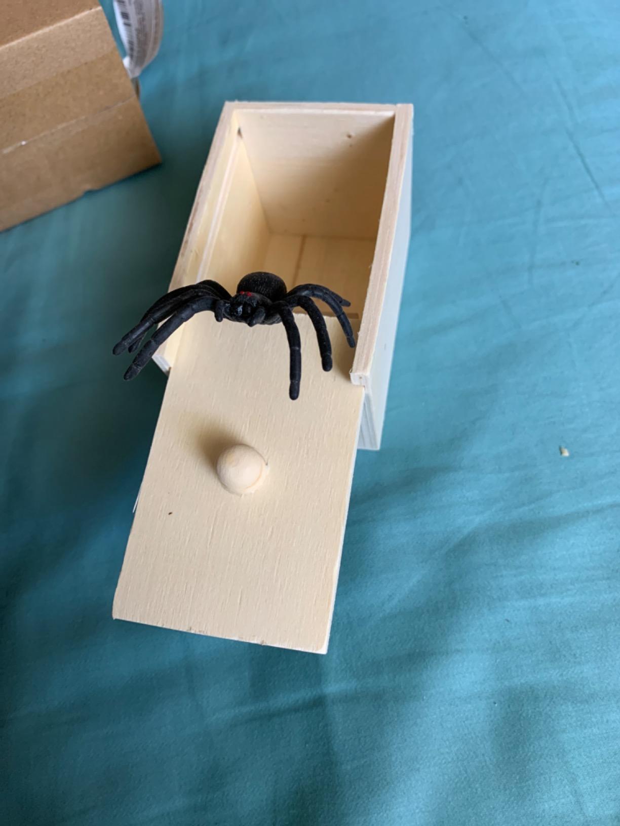 Toy Box Insect Wooden Prank Trick Spider In A Box photo review