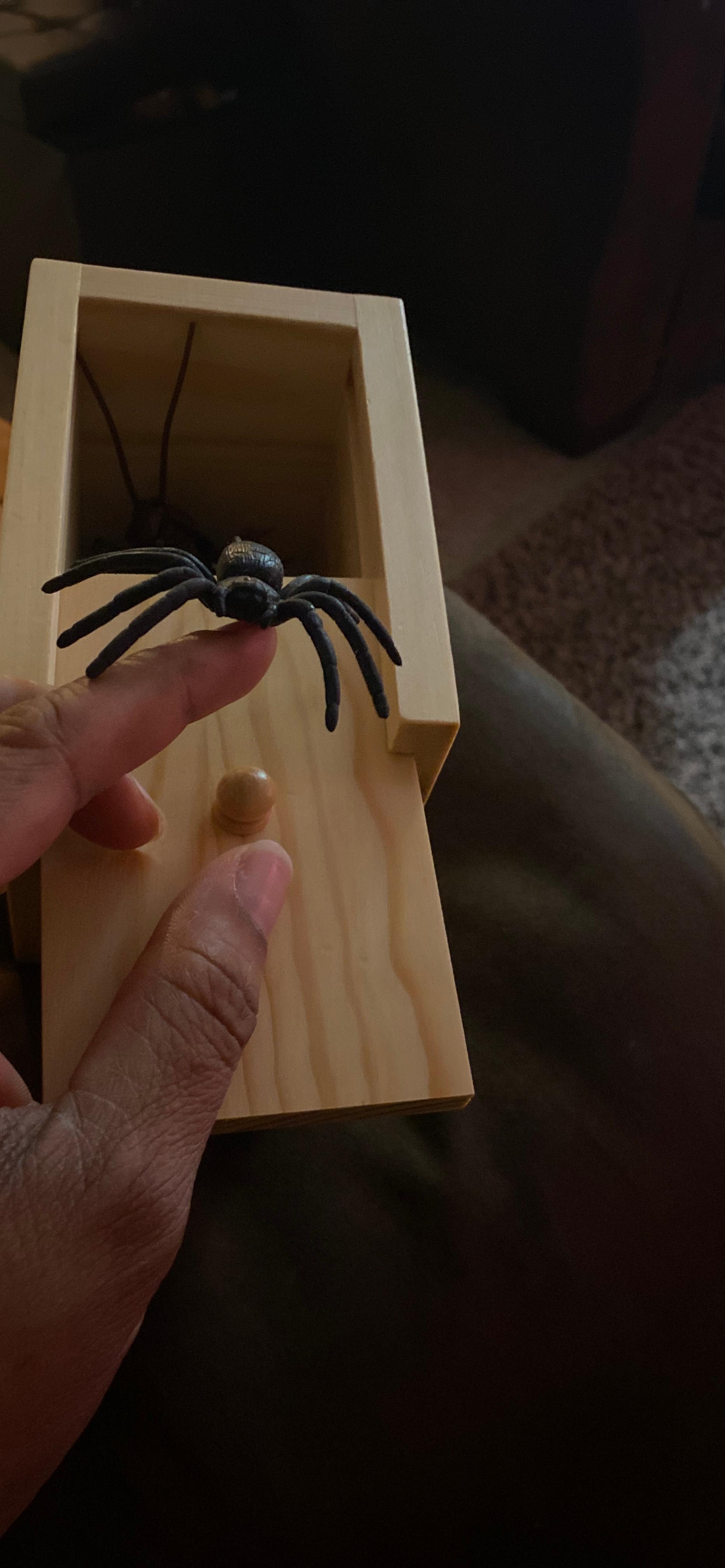 Toy Box Insect Wooden Prank Trick Spider In A Box photo review