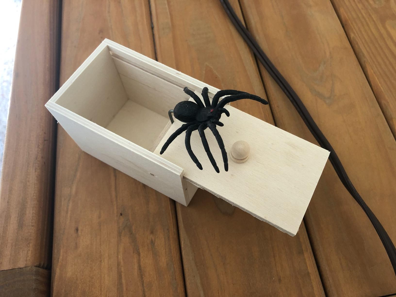 Toy Box Insect Wooden Prank Trick Spider In A Box photo review