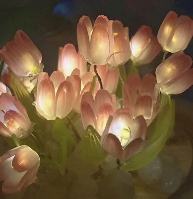 Heat Shrinkable Led Tulip Night Light Manual Diy Material Package photo review