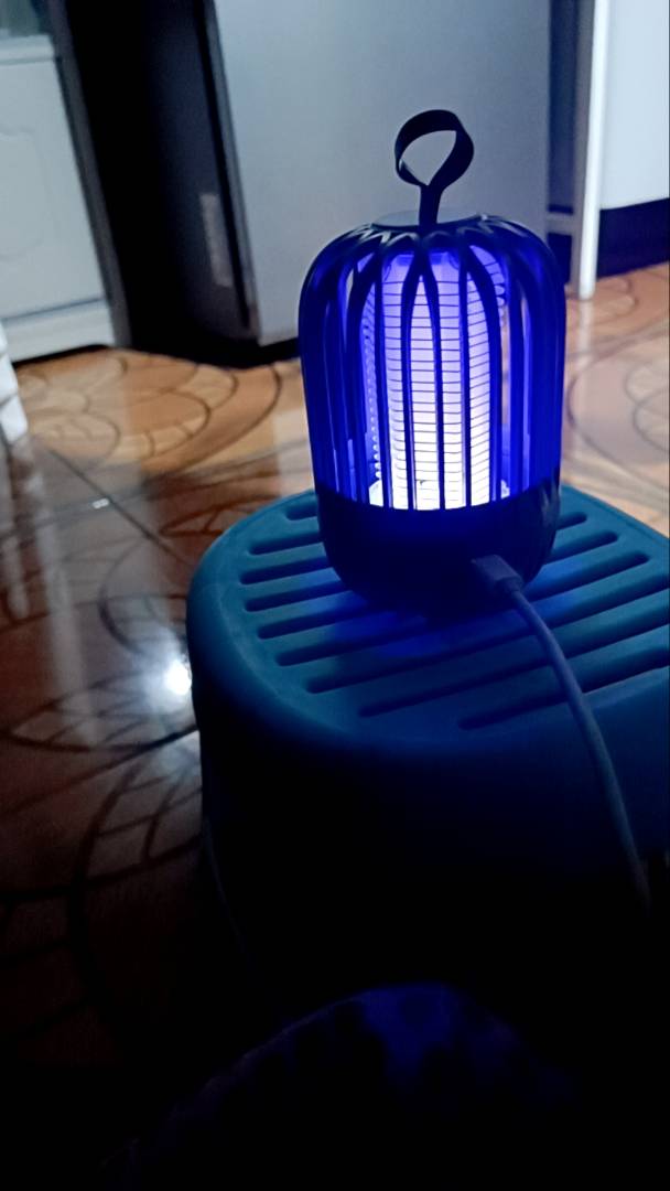 Smart Mosquito and Insect Catcher Lamp photo review