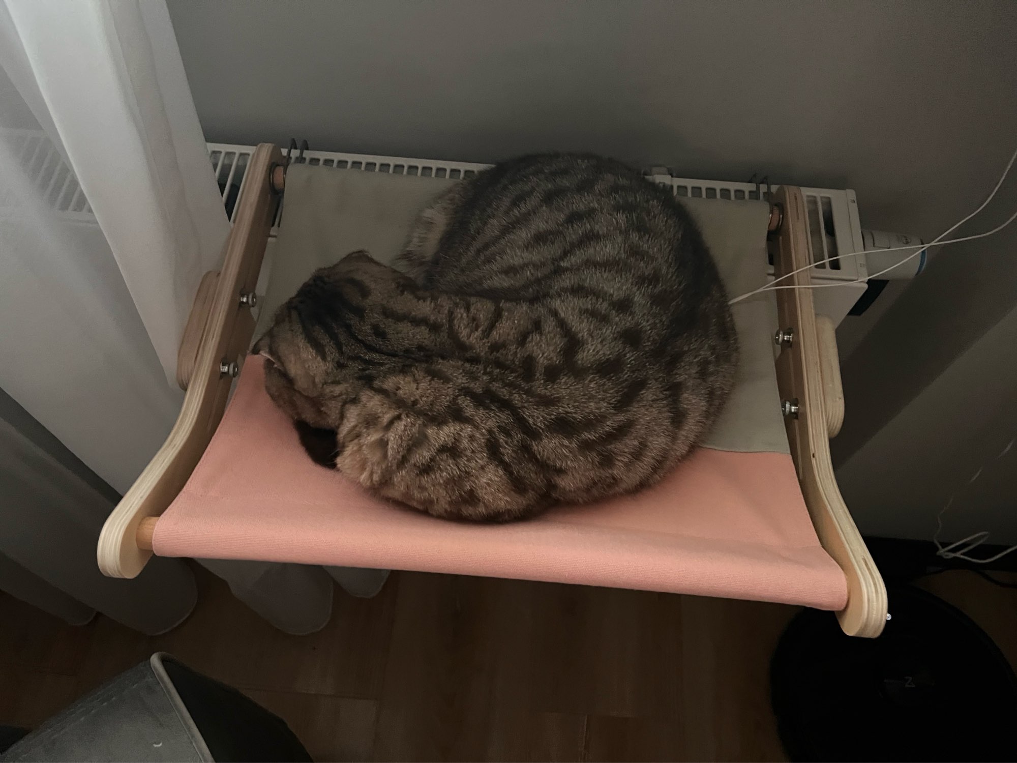 Cat Hanging Bed Hanging Balcony Window Bedside photo review