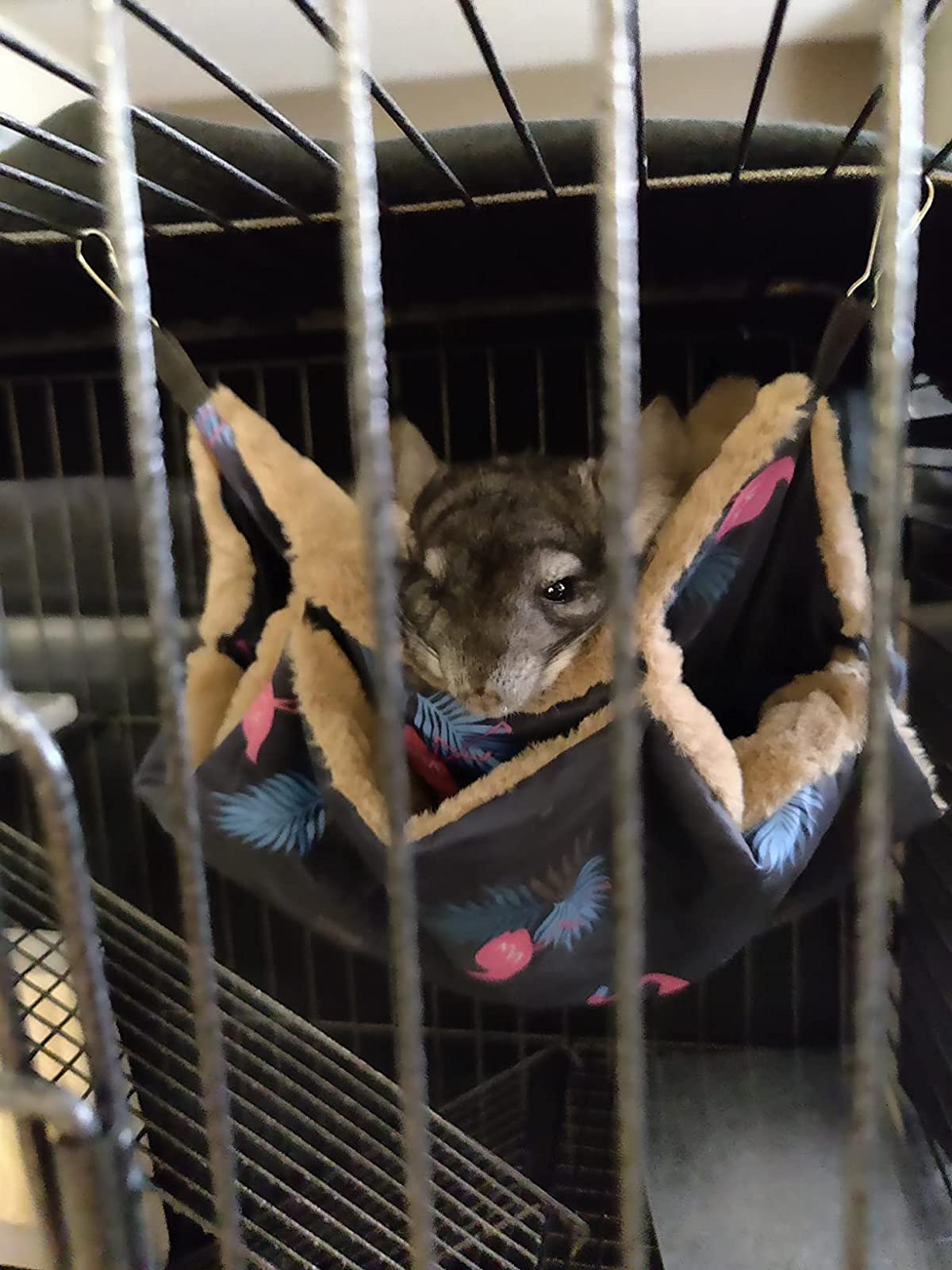 Warm Winter Hamster Hammock for Small Animals photo review