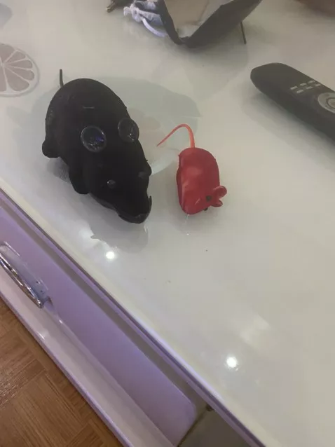 Pet Wireless Remote Control Toy Mouse photo review