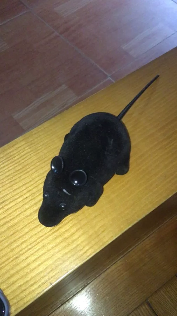 Pet Wireless Remote Control Toy Mouse photo review